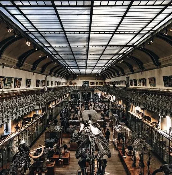 Discovering the Wonders of Paris Museum of Natural History